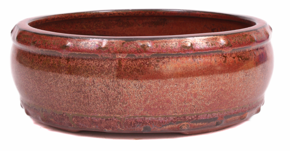 Bonsai - Schale Trommelschale rund 15 Ø x 6 cm kupferfarben  15050