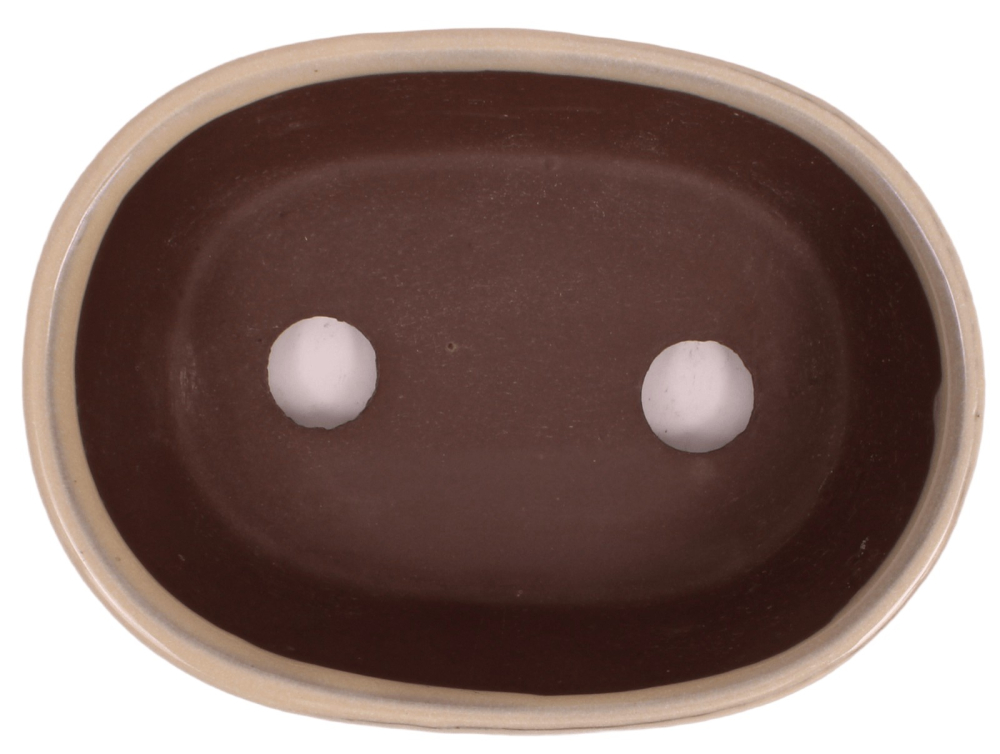 Preview: Bonsaischale oval, cremefarben – 15,5 × 11,3 × 4,5 cm – aus Japan – frostfest