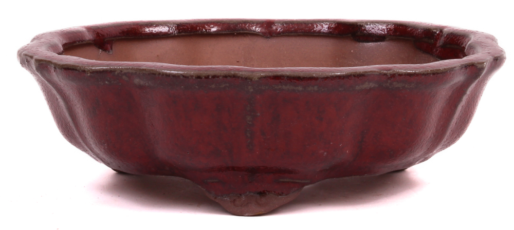 Bonsai - Schale rund 14 Ø x 4 cm bordeauxfarben  15220