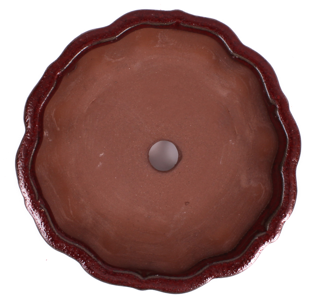 Preview: Bonsai - Schale rund 14 Ø x 4 cm bordeauxfarben  15220