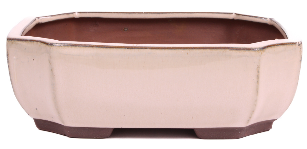 Bonsai - Schale eckig 21 x 16 x 7.3 cm, creme  22031