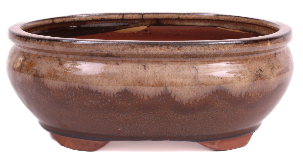 Preview: Bonsai - Schale oval 21 x 16.5 x 8 cm , beige / braun  22038