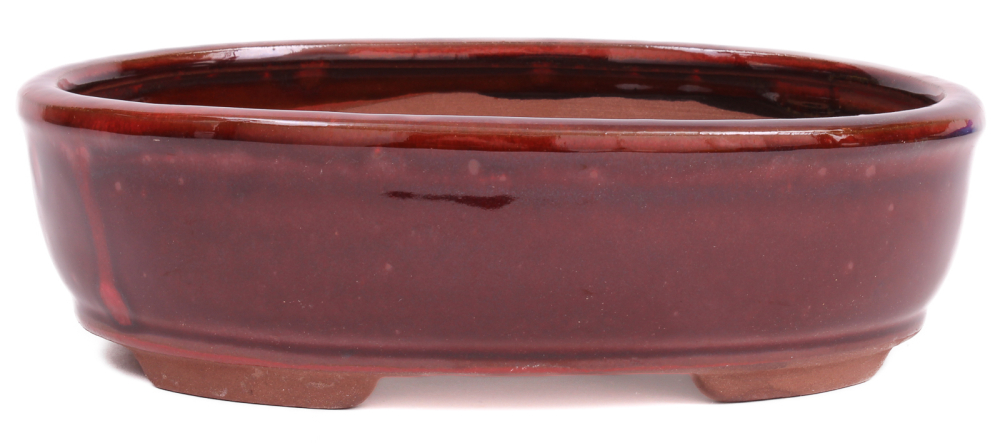 Preview: Bonsai - Schale oval 22 x 16.5 x 6.5 cm , rotbraun  22040