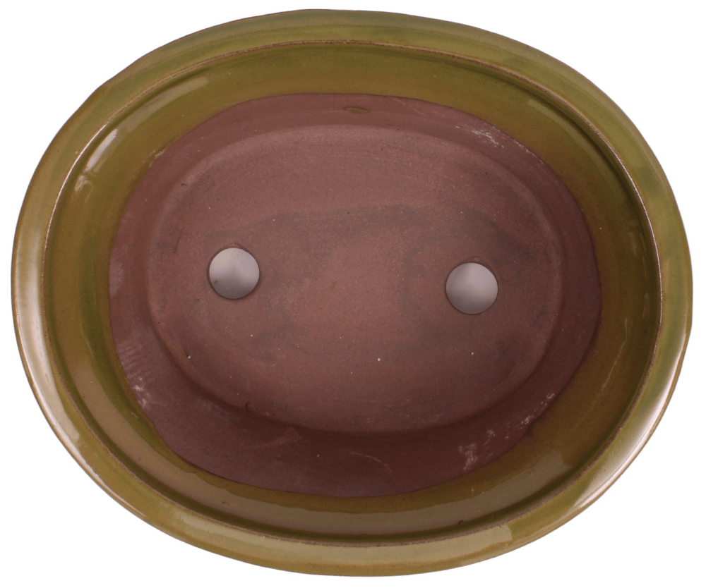 Bonsai - Schale oval 21 x 17.5 x 8.5 cm - grün 22075