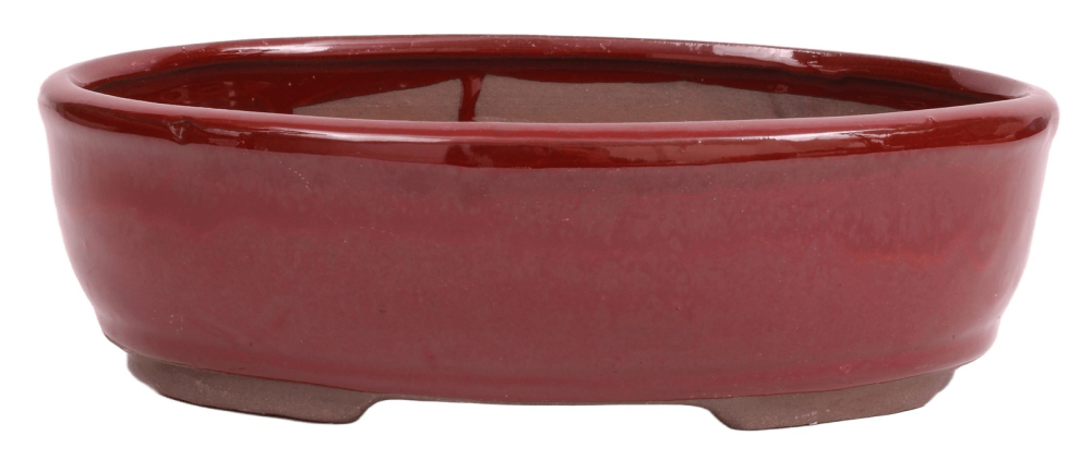 Bonsai - Schale oval 22 x 16.5 x 6.5 cm  braunrot  22079