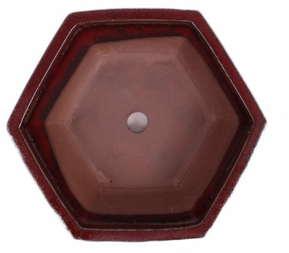 Preview: Bonsai - Schale 6-eckig 26.5 Ø x 9 cm bordeaux  22092