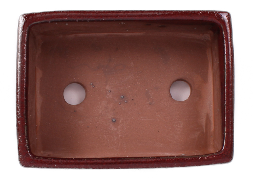 Preview: Bonsai - Schale eckig 16 x 12 x 6.5 cm bordeaux  22093