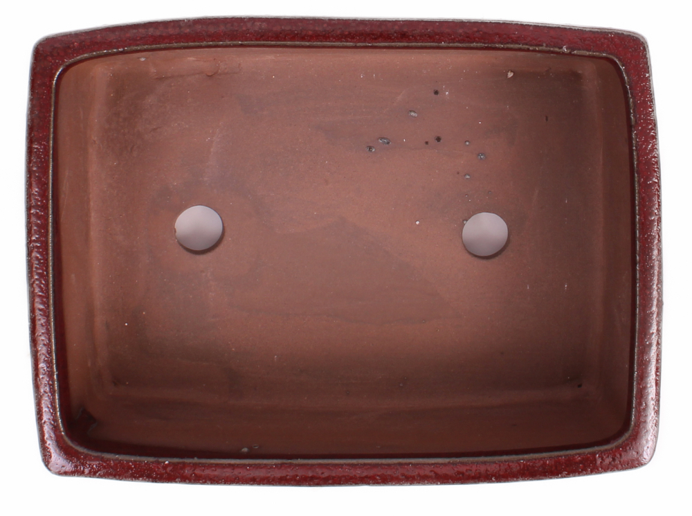 Preview: Bonsai - Schale eckig 22 x 16 x 7.5 cm bordeaux  22094