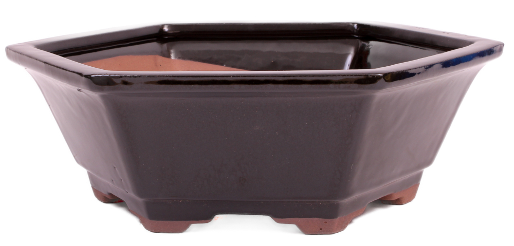 Bonsai - Schale 6-eckig 26.5 Ø x 9 cm schwarz  22104