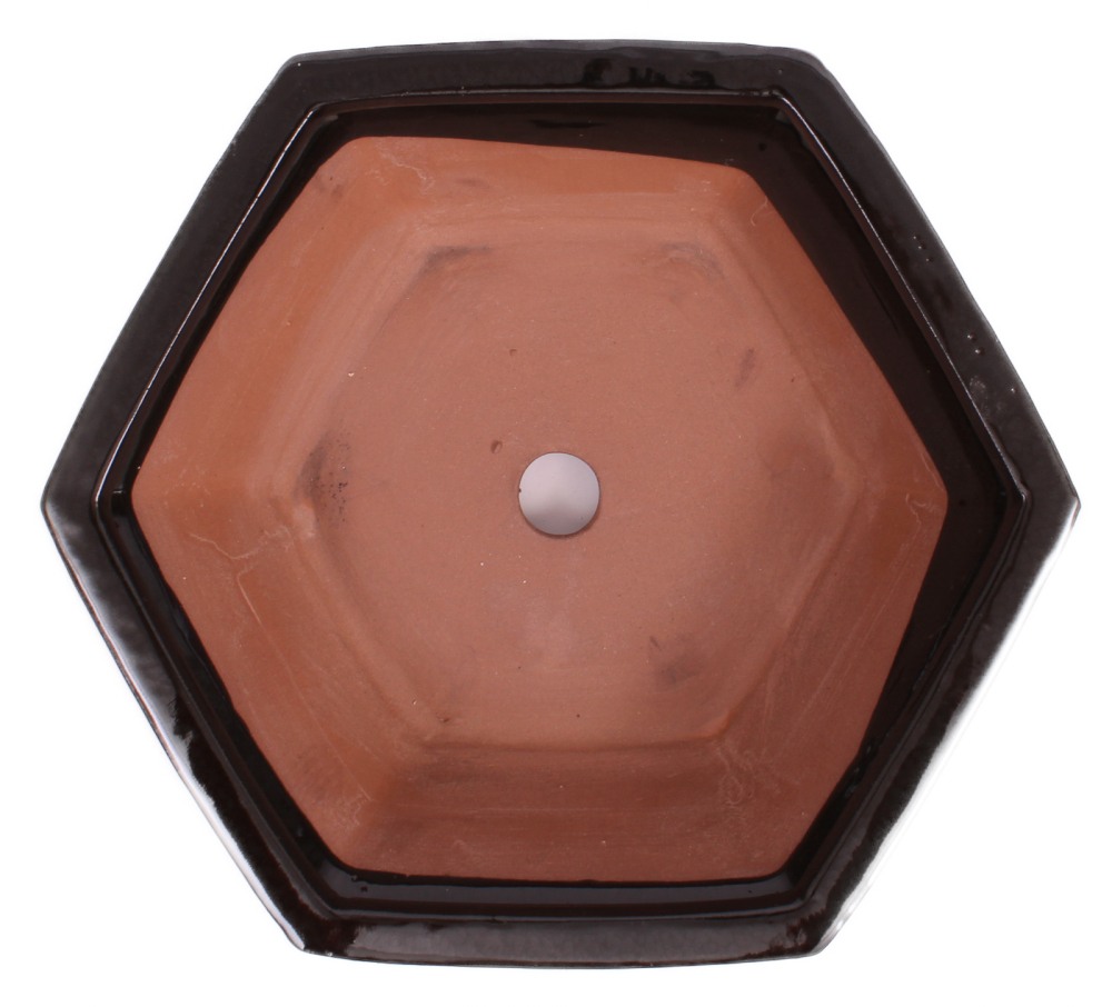 Preview: Bonsai - Schale 6-eckig 26.5 Ø x 9 cm schwarz  22104