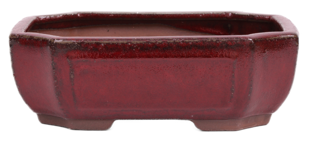 Bonsai - Schale eckig 21.5 x 16 x 7.5 cm bordeaux  22142