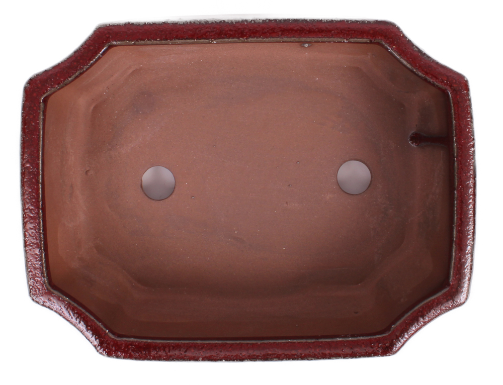 Preview: Bonsai - Schale eckig 21.5 x 16 x 7.5 cm bordeaux  22142