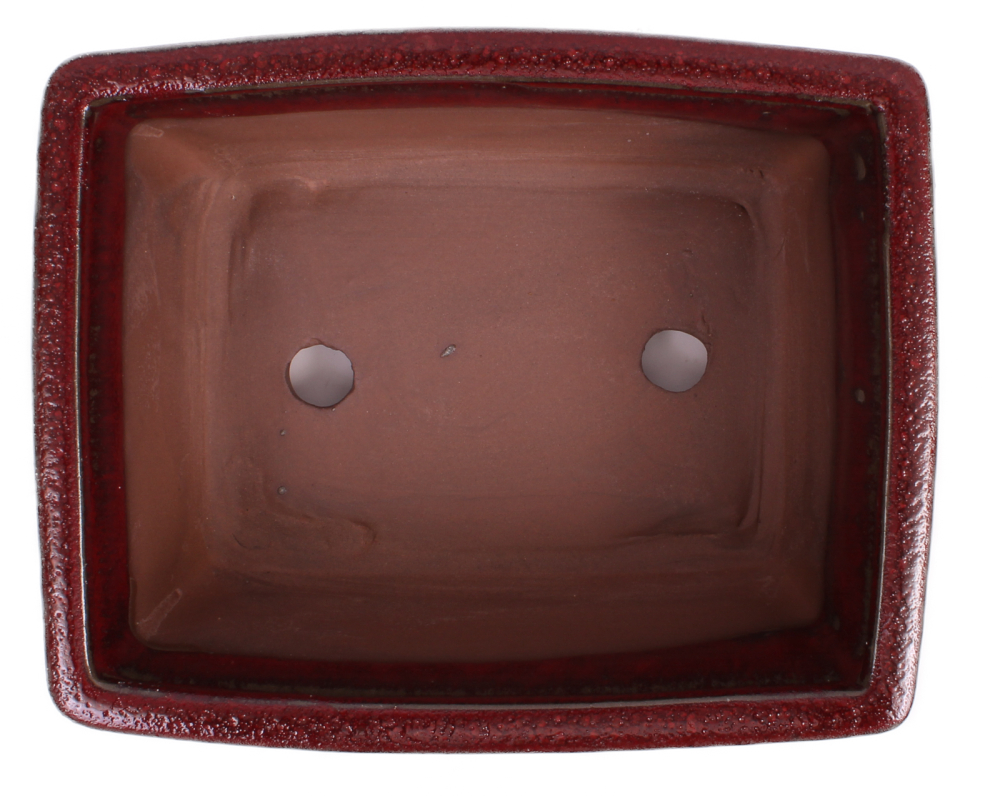 Preview: Bonsai - Schale eckig 22 x 17.5 x 10 cm bordeaux 22115