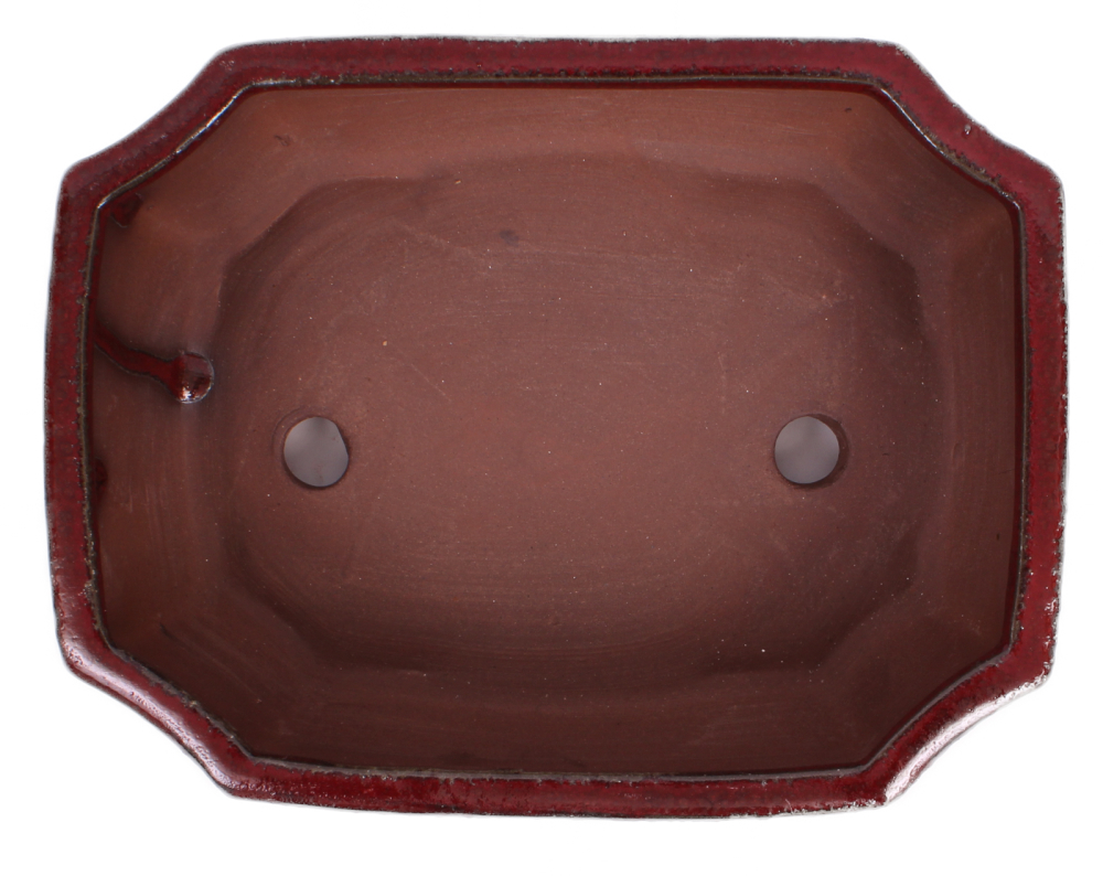 Bonsai - Schale eckig 21 x 16 x 7.3 cm, bordeaux  22124