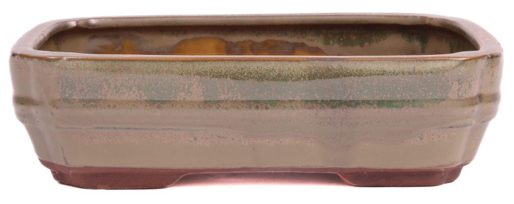 Preview: Bonsai - Schale eckig 21.5 x 16 x 6.2 cm oliv  22141