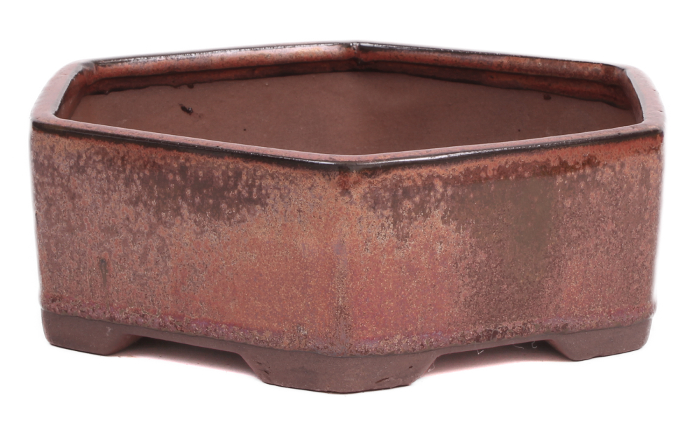 Preview: Bonsai - Schale 6-eckig 19.5 Ø x 6.5 cm kupferfarben  22147