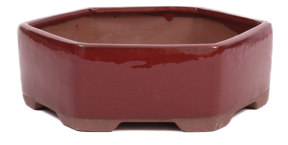 Bonsai - Schale 6-eckig 19.5 Ø x 6.5 cm rotbraun  22148
