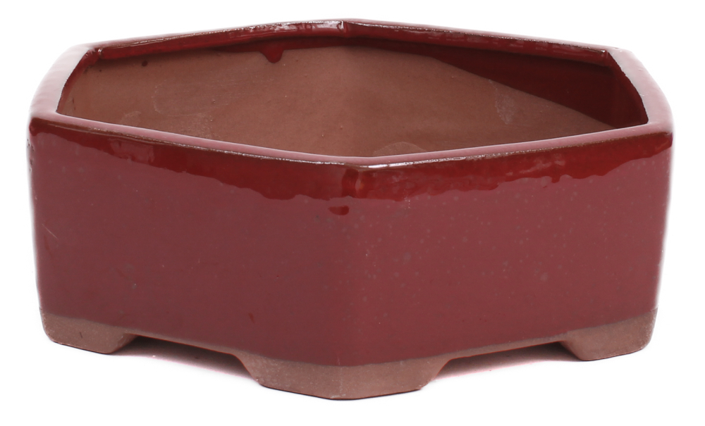 Preview: Bonsai - Schale 6-eckig 19.5 Ø x 6.5 cm rotbraun  22148