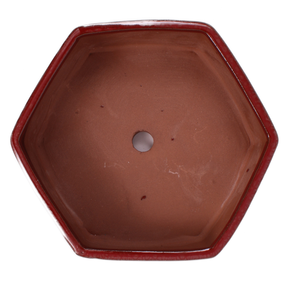 Preview: Bonsai - Schale 6-eckig 19.5 Ø x 6.5 cm rotbraun  22148