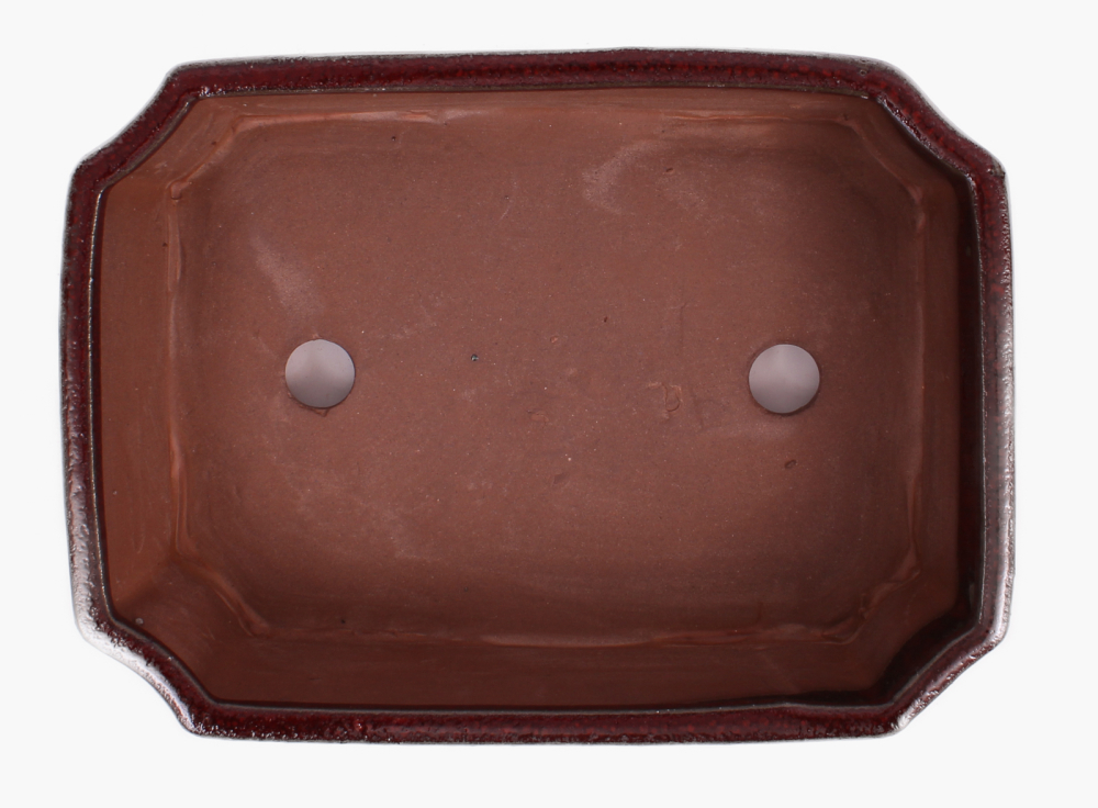Preview: Bonsai - Schale eckig 20.5 x 16 x 6.3 cm bordeaux 22149