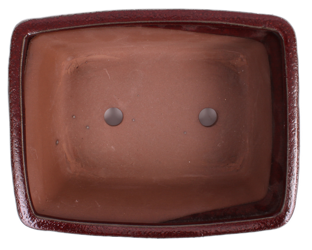 Preview: Bonsai - Schale  eckig  22 x 16.5 x 9.5 cm bordeaux  22160