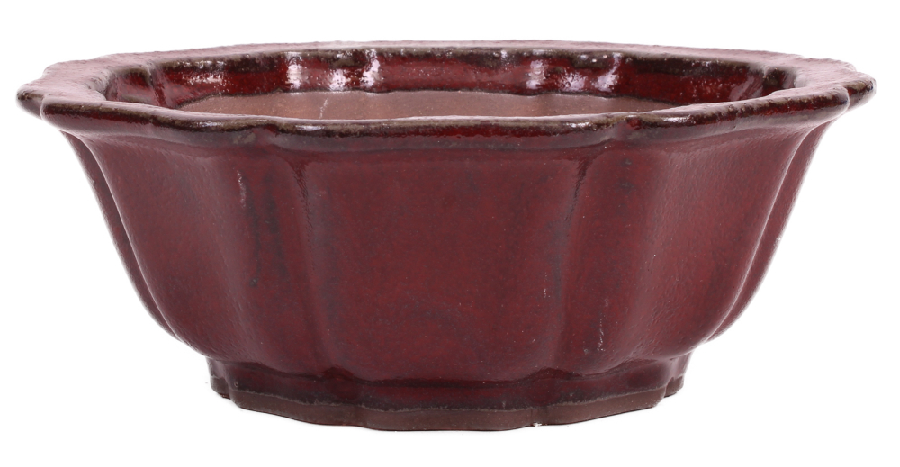 Bonsai - Schale rund 18  Ø x 7 cm  bordeaux 22163