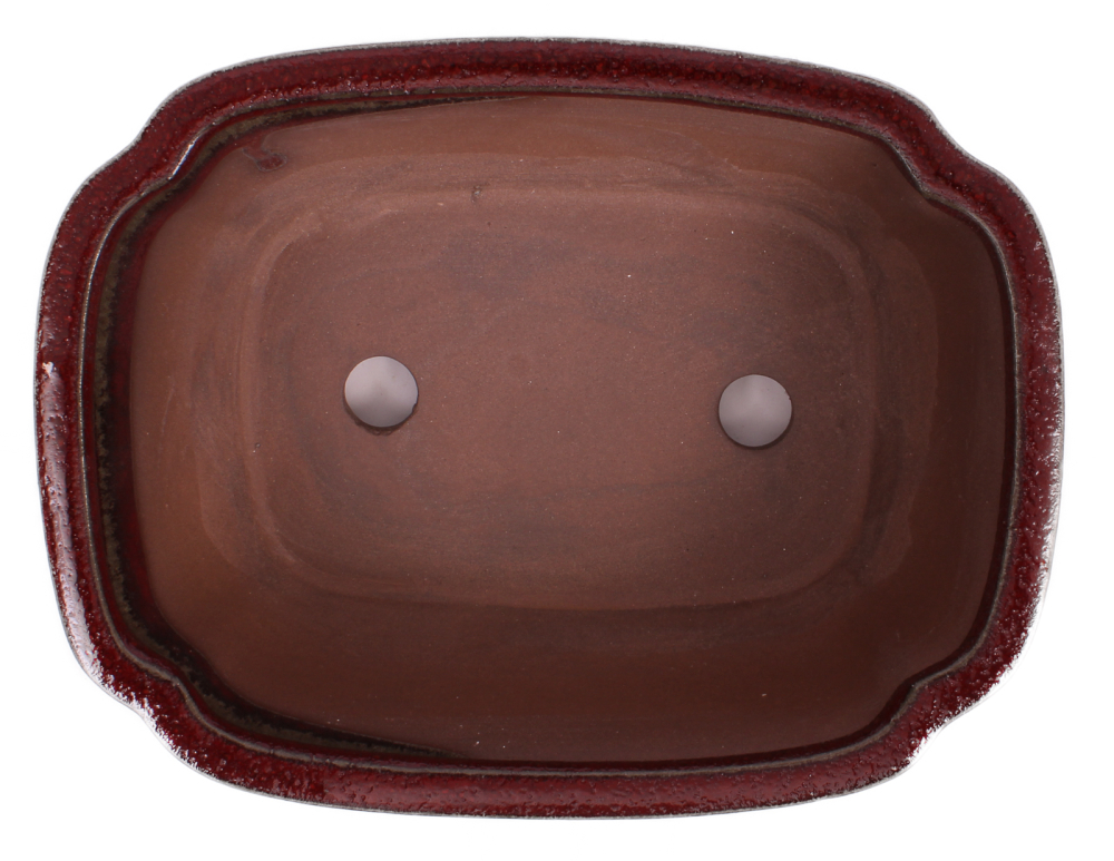 Preview: Bonsai - Schale eckig 21.5 x 16.5 x 8 cm bordeaux 22164