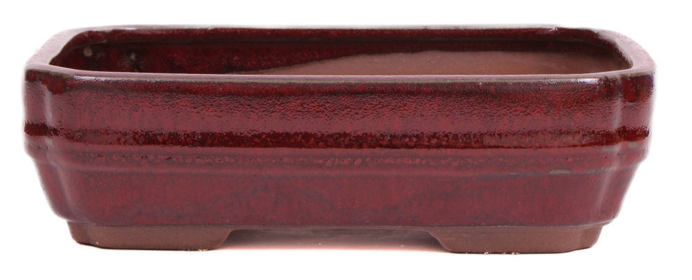 Bonsai - Schale eckig 21.5 x 16.5 x 6.5 cm bordeaux 22165