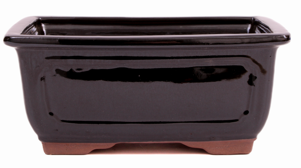 Bonsai - Schale eckig 22 x 17.5 x 10 cm schwarz 22167