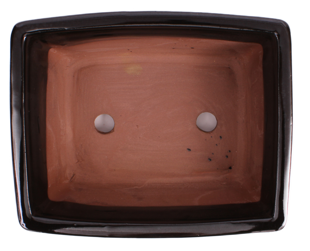 Preview: Bonsai - Schale eckig 22 x 17.5 x 10 cm schwarz 22167