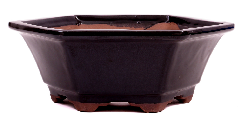Bonsai - Schale 6-eckig 18.5 Ø x 7 cm schwarz  22170