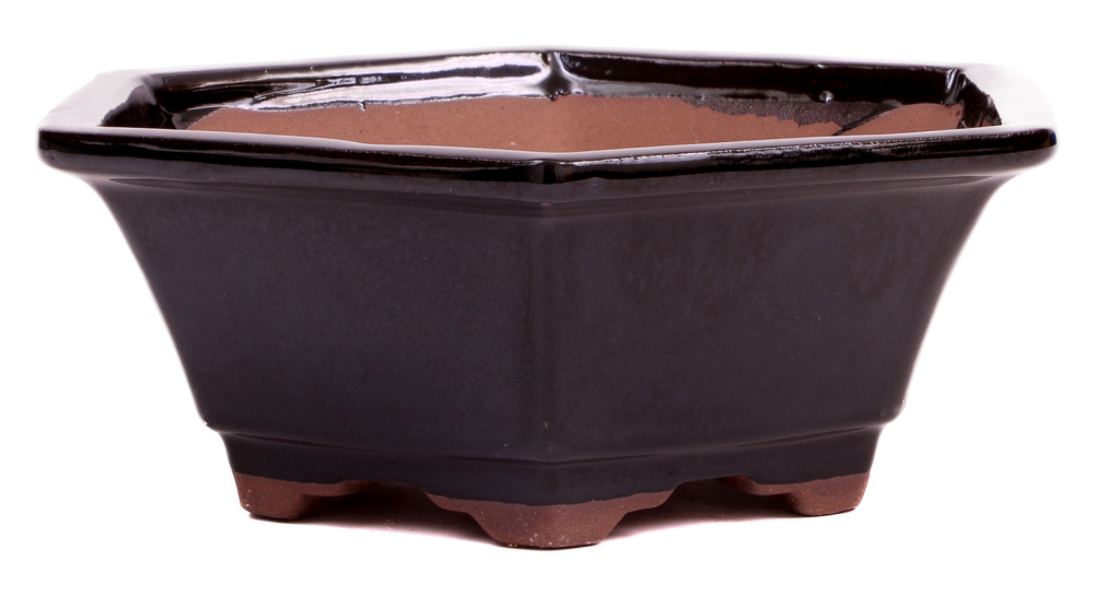 Preview: Bonsai - Schale 6-eckig 18.5 Ø x 7 cm schwarz  22170