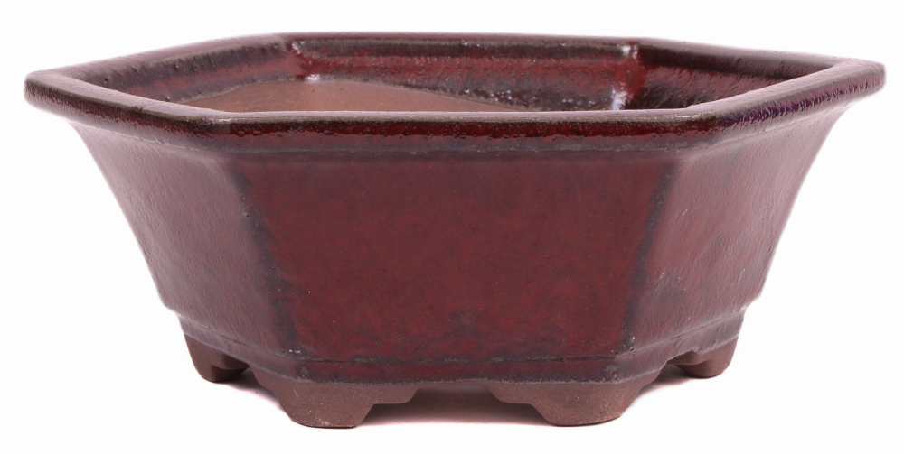 Bonsai - Schale 6-eckig 18.5 Ø x 7 cm bordeaux 22171