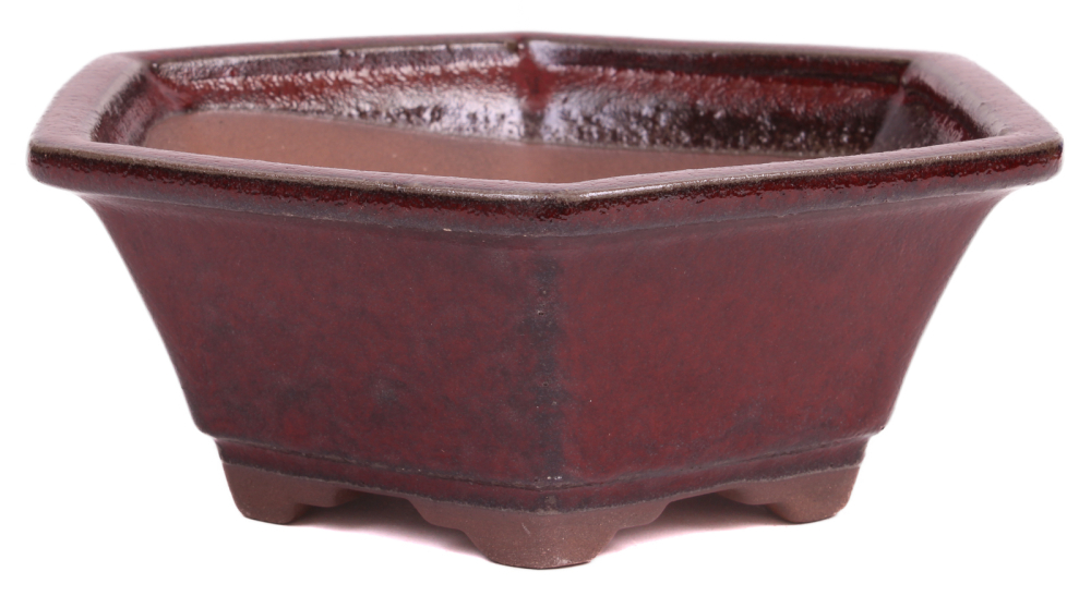 Bonsai - Schale 6-eckig 18.5 Ø x 7 cm bordeaux 22171