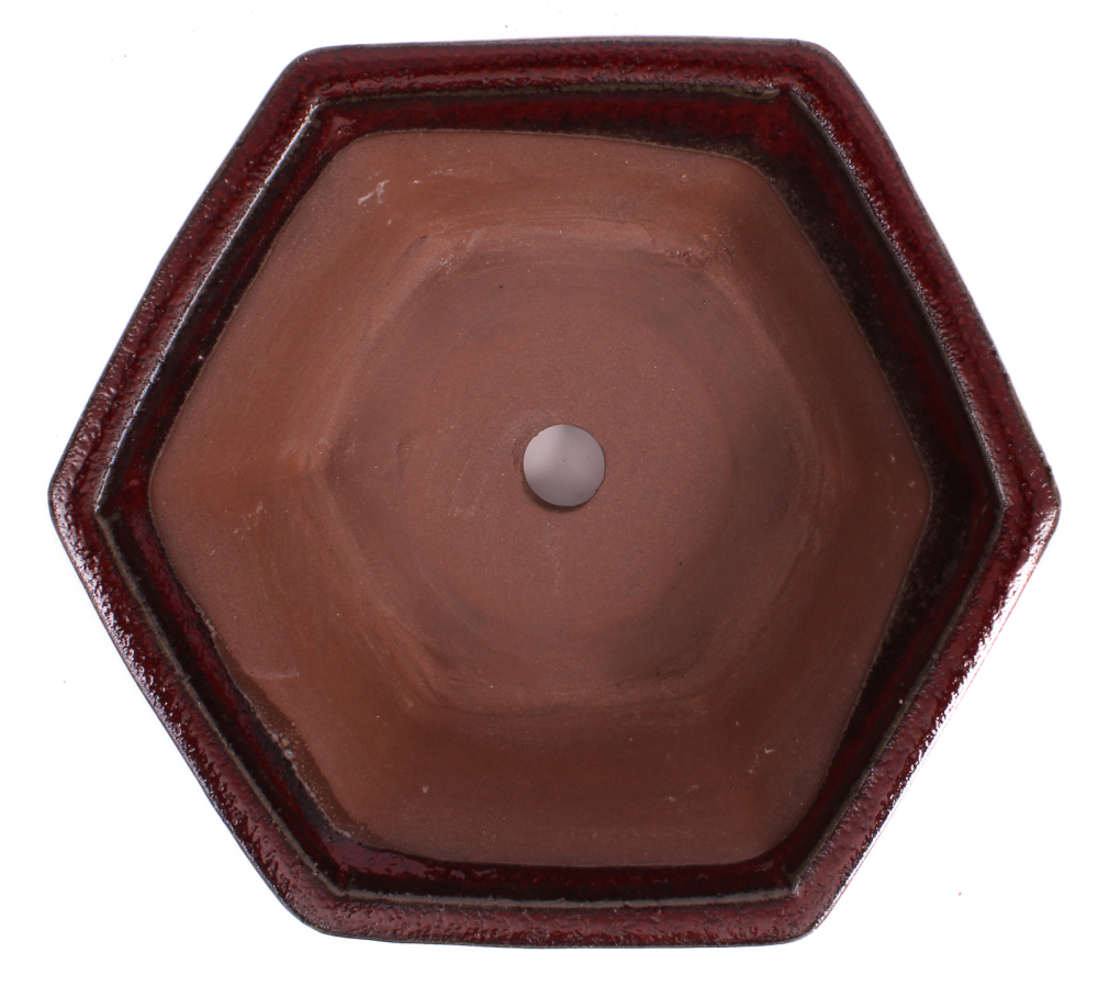 Bonsai - Schale 6-eckig 18.5 Ø x 7 cm bordeaux 22171