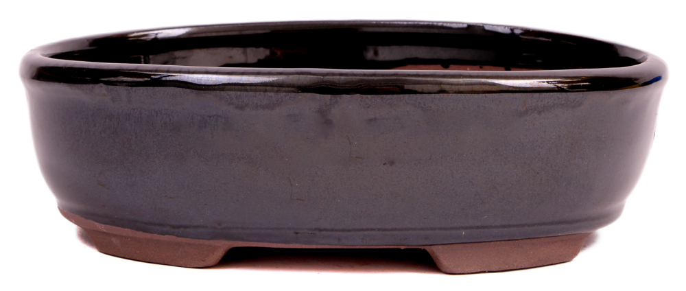 Bonsai - Schale oval 21.5 x 16.5 x 6.5 cm schwarz  22173