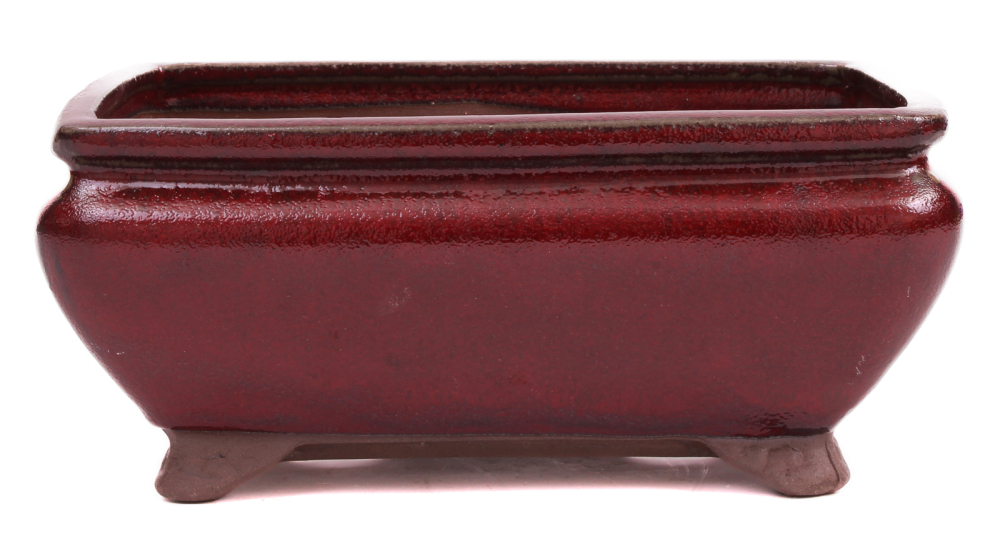 Bonsai - Schale eckig 20.5 x 15 x 9.5 cm bordeaux  22180