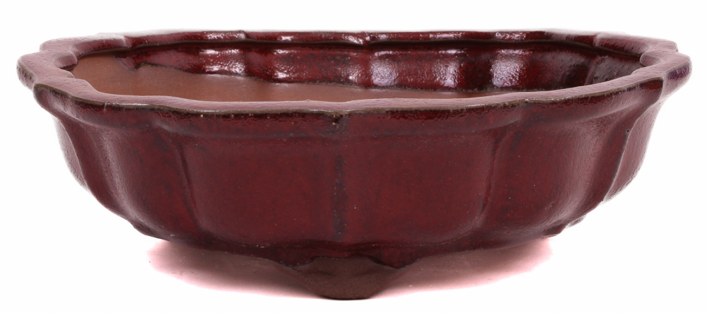 Bonsai - Schale rund 21.5 Ø x 7 cm bordeauxfarben  22187