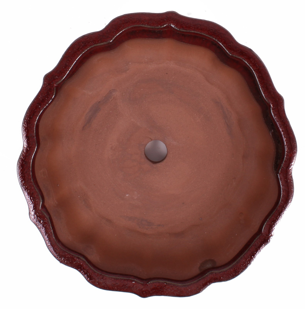 Preview: Bonsai - Schale rund 21.5 Ø x 7 cm bordeauxfarben  22187