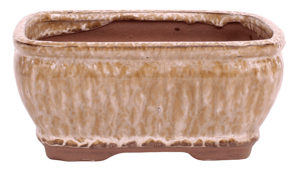 Preview: Bonsai - Schale eckig 16.5 x 13 x 7.7 cm  beige / kupfer  22188