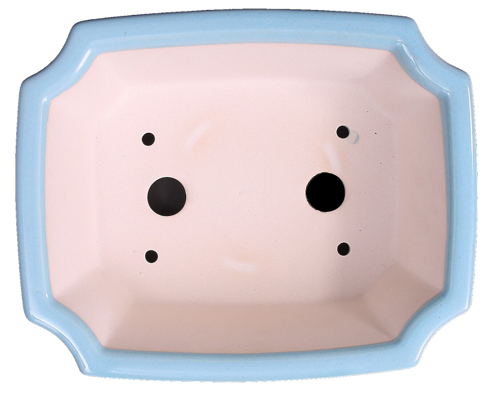 Preview: Bonsai - Schale eckig 22 x 17 x 6,5 cm  hellblau 22884