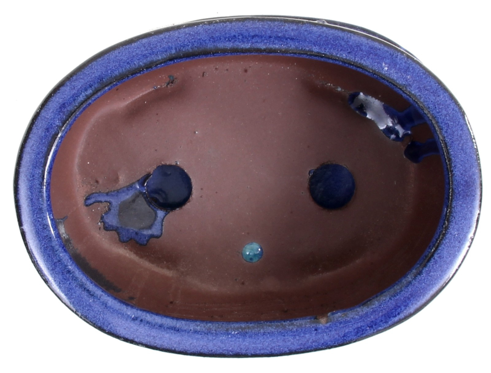 Preview: Bonsai - Schale oval,  16 x 11,5 x 6,5 cm, Blau , mit Untersetzer 23984