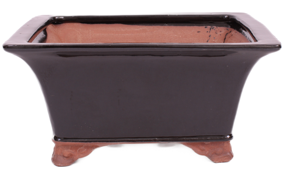 Bonsai - Schale 23.5 x 23.5 x 11.5 cm, schwarz 30042