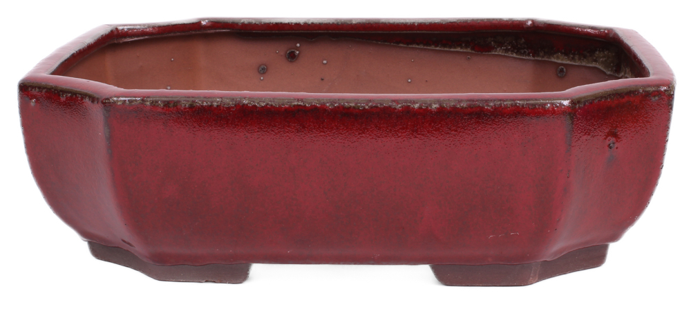 Bonsai - Schale eckig 26.5 x 20 x 8.5 cm,  bordeaux  30048