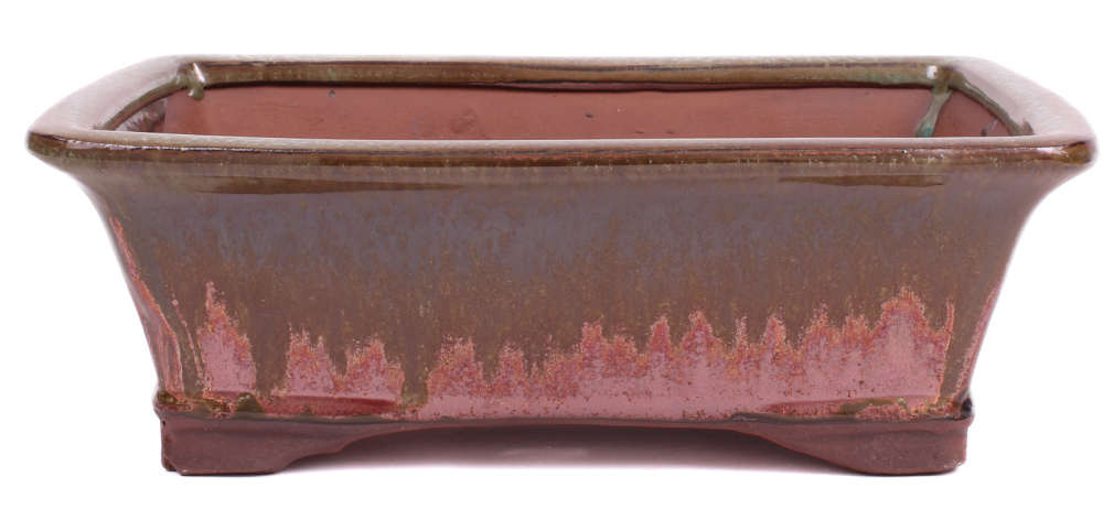 Preview: Bonsai - Schale eckig 26.5 x 20.5 x 9 cm  grün / kupfer 30061