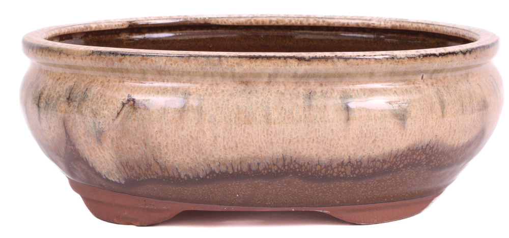 Preview: Bonsai - Schale oval 25.5 x 20 x 9.5 cm beige / braun 30064