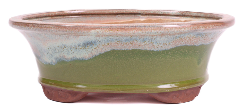 Preview: Bonsai - Schale oval 26 x 21 x 9.5 cm beige / grün 30065