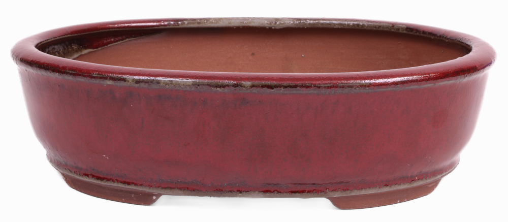 Bonsai - Schale oval 26.5 x 20 x 7.5 cm  bordeauxfarben 30121