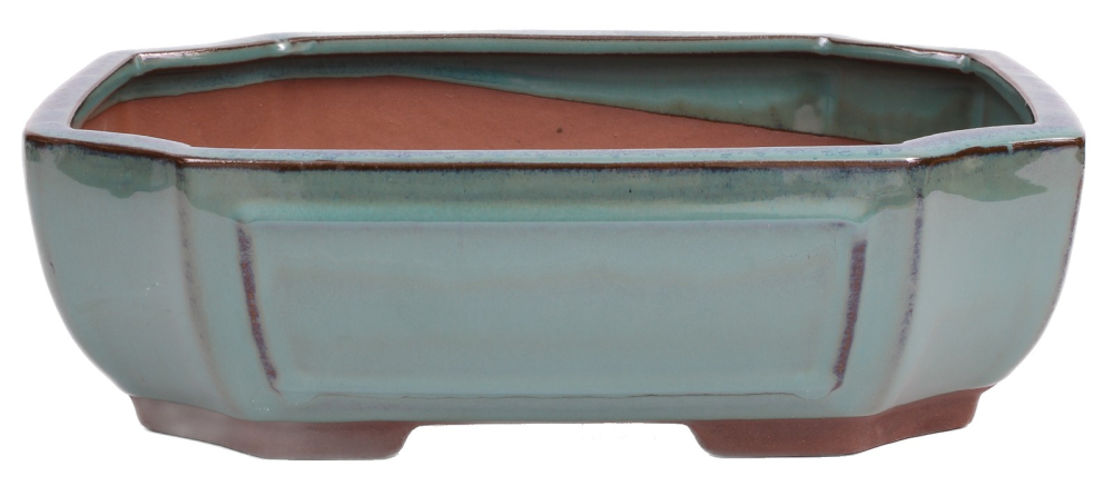 Bonsai - Schale eckig 27.5 x 21 x 8.5 cm grün 30122