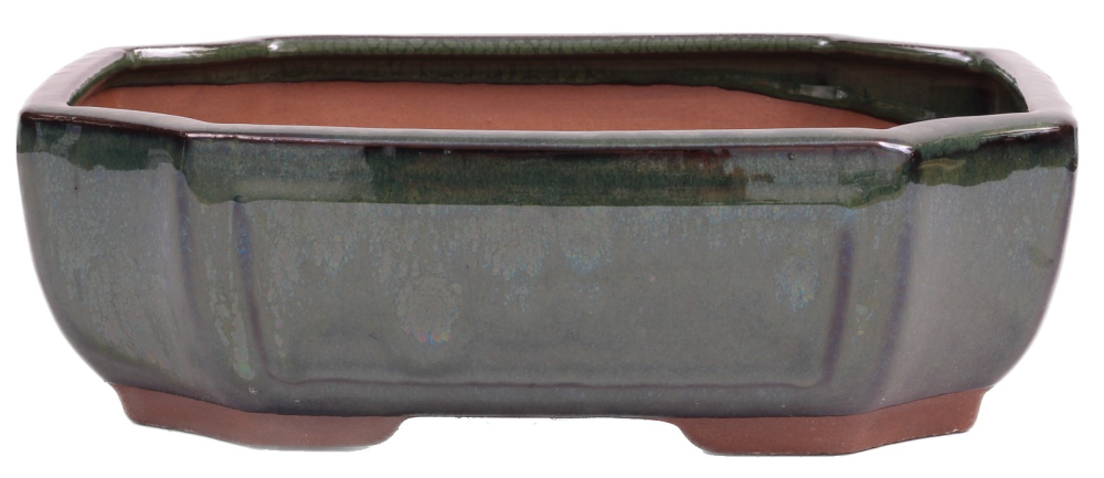Bonsai - Schale eckig 27.5 x 21 x 8.5 cm moosgrün 30126